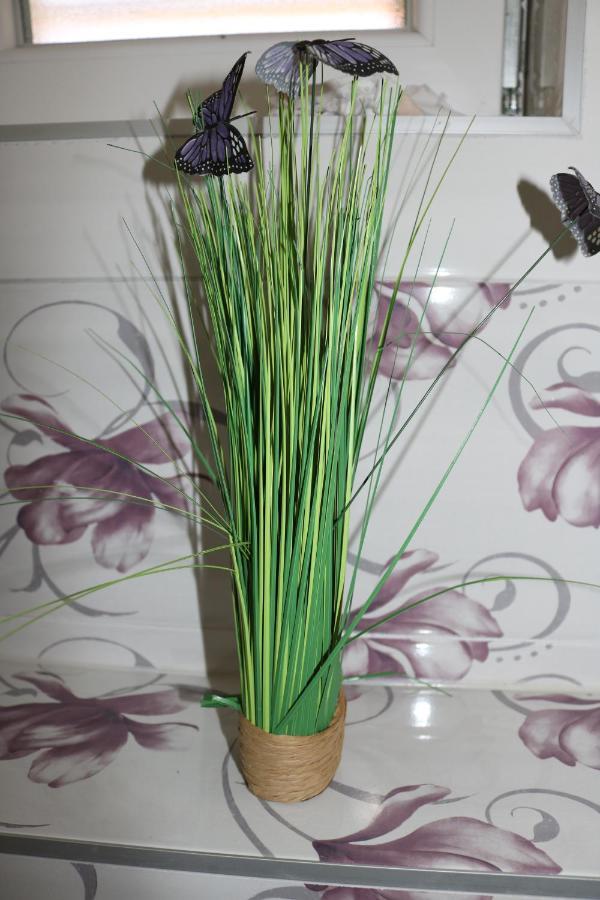 Ilma Apartment โตรกีร์ ภายนอก รูปภาพ
